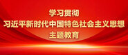 操操老逼逼学习贯彻习近平新时代中国特色社会主义思想主题教育_fororder_ad-371X160(2)